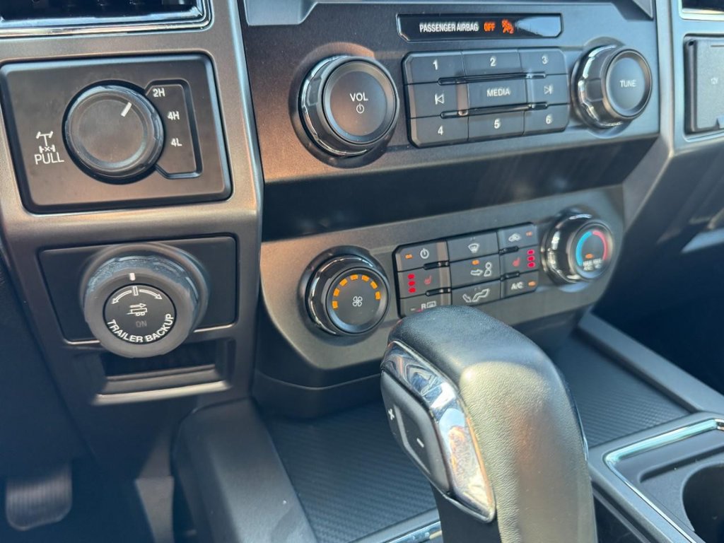 Used 2019 Ford F150 XLT w/ Equipment Group 302A Luxury AWD/4WD image 18