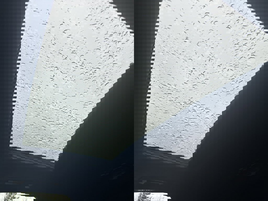 Used 2024 Hyundai Palisade Calligraphy image 14