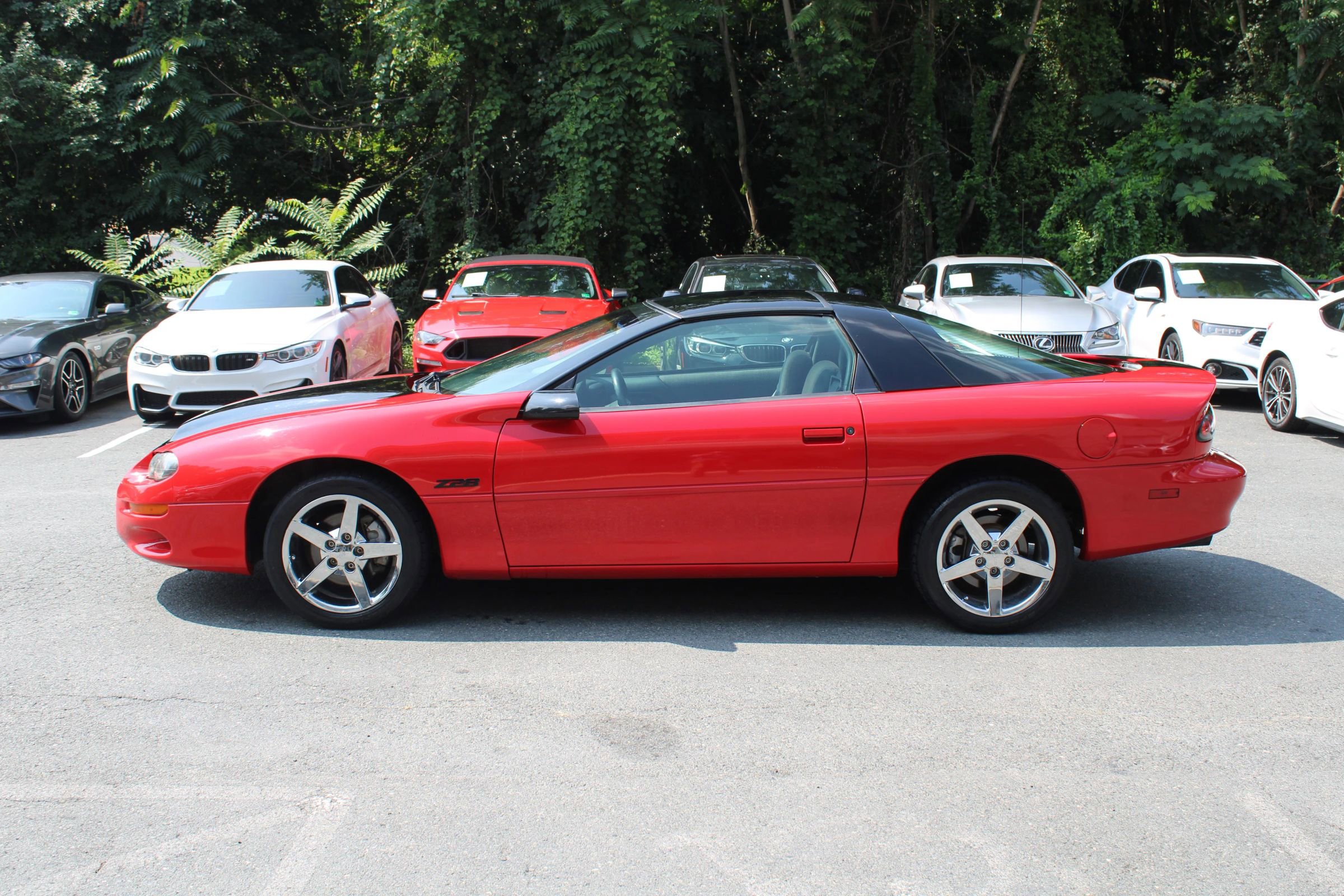 Used 1999 Chevrolet Camaro Z28 w/ Preferred Equipment Group 2 image 15