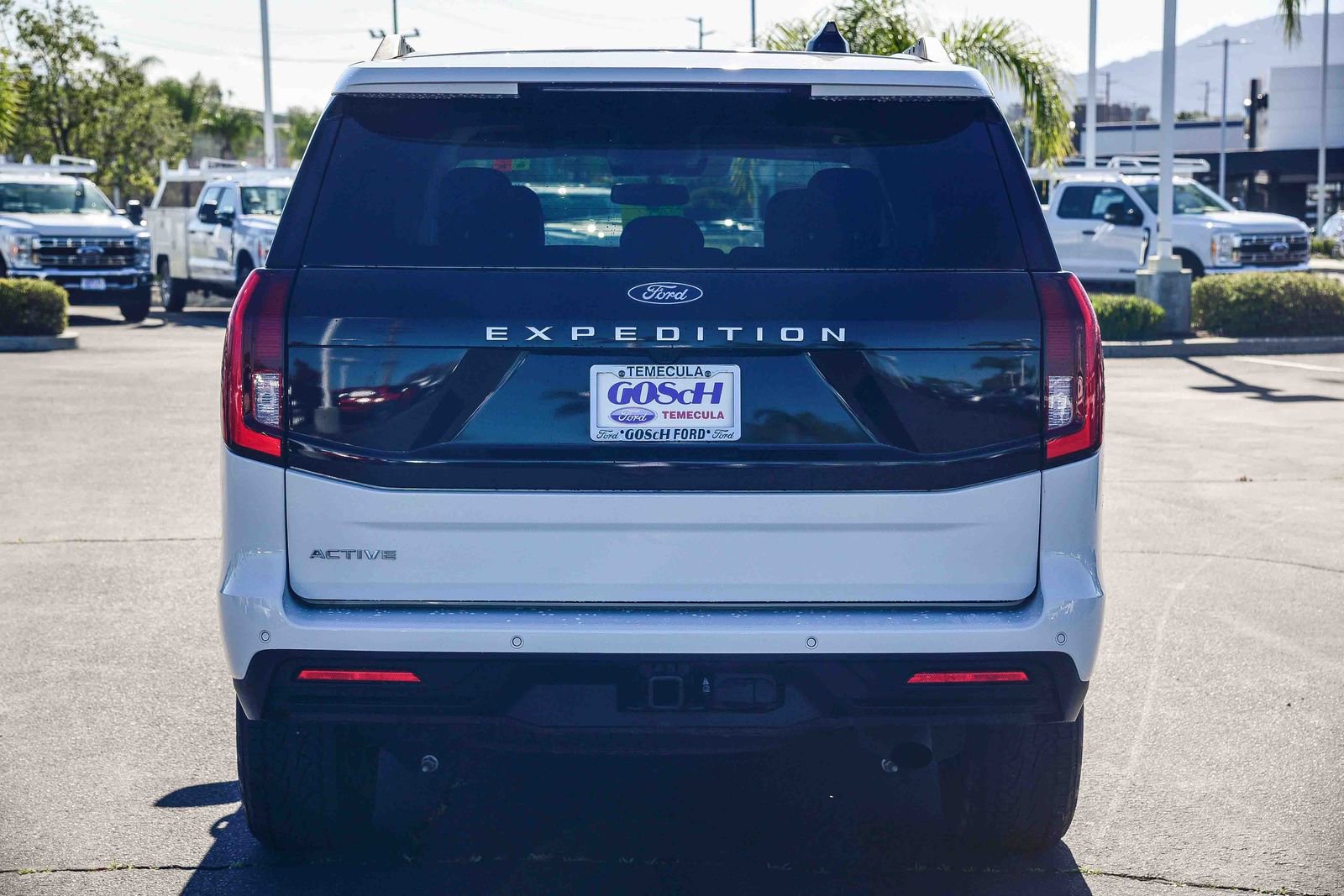 Used 2025 Ford Expedition Active image 5