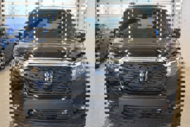 Used 2024 Honda Passport EX-L image 3