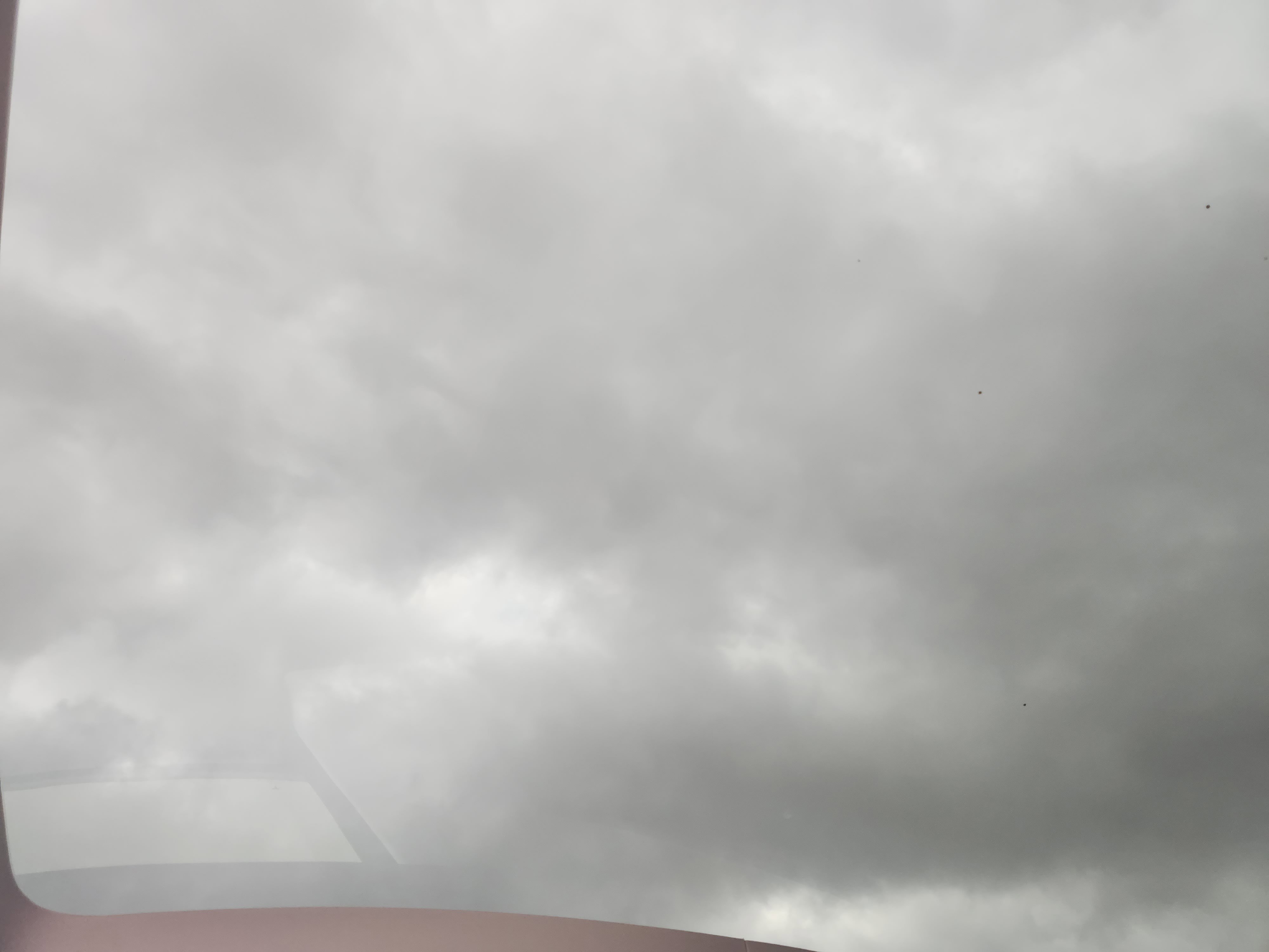 Used 2023 Tesla Model Y Long Range image 24