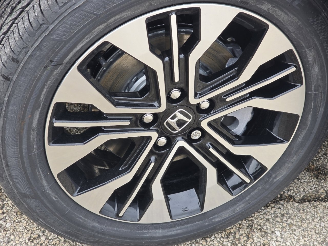 New 2026 Honda Odyssey Elite image 12