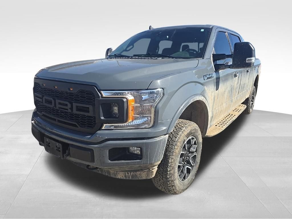 Used 2019 Ford F150 XLT w/ Equipment Group 302A Luxury image 1