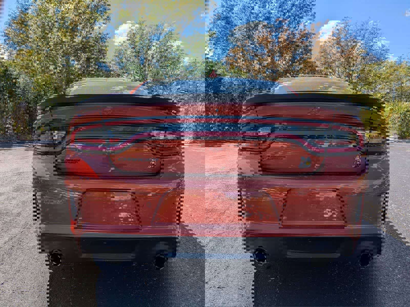 Used 2023 Dodge Charger Scat Pack image 5