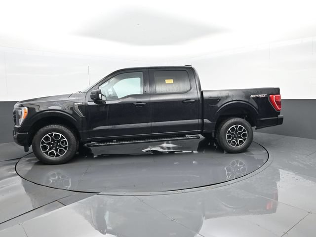 Used 2023 Ford F150 XLT w/ Equipment Group 302A High AWD/4WD image 5
