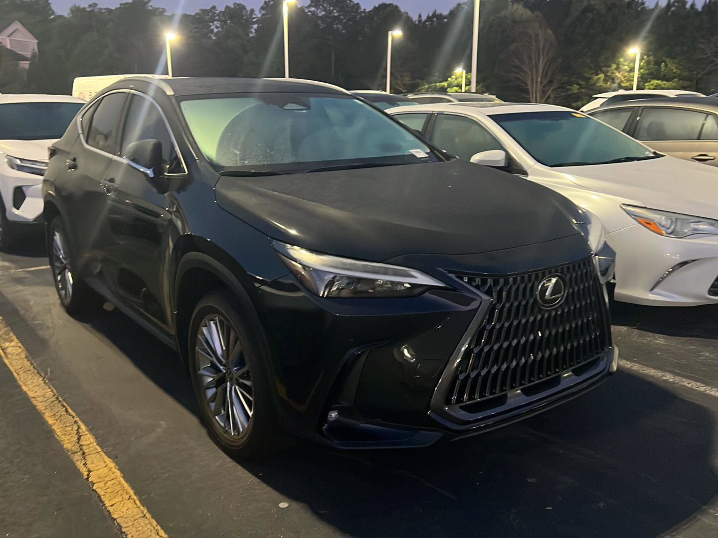 Used 2023 Lexus NX 350h AWD image 6
