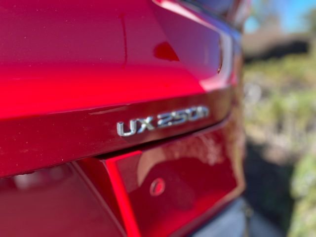 Used 2024 Lexus UX 250h F Sport image 11