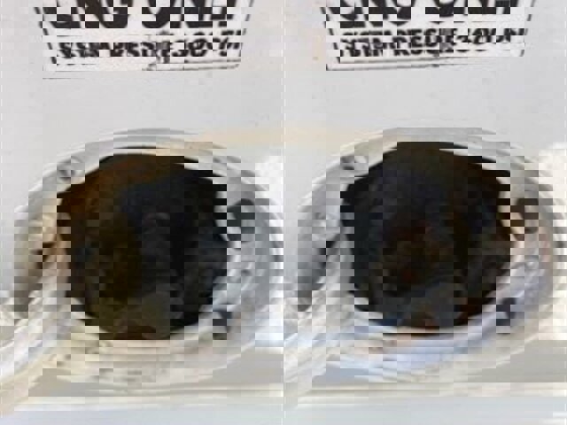 Used 2011 Ford E-250 and Econoline 250 image 3