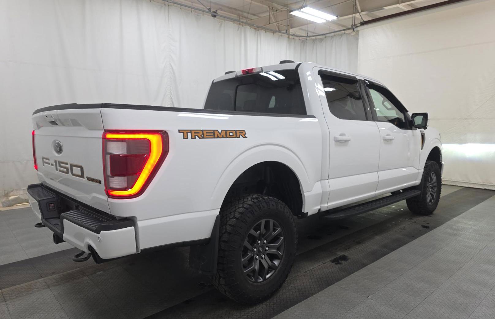 Used 2022 Ford F150 Tremor w/ Equipment Group 402A High image 5
