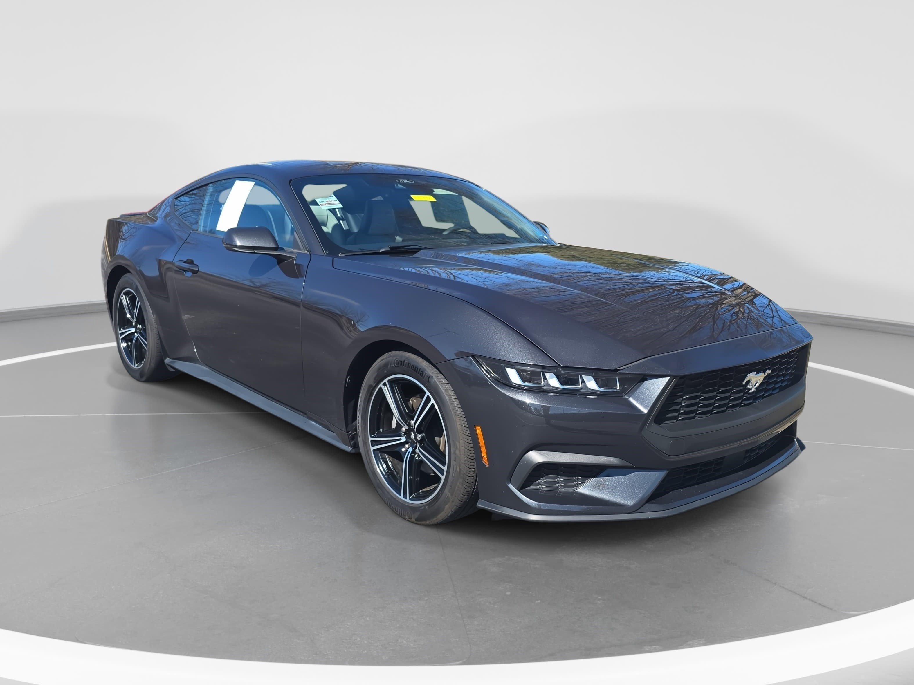 Used 2024 Ford Mustang Premium image 3