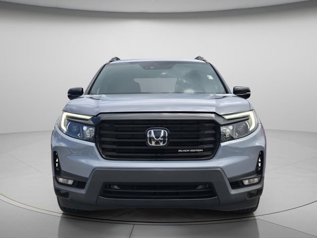 Used 2024 Honda Passport Black Edition image 5