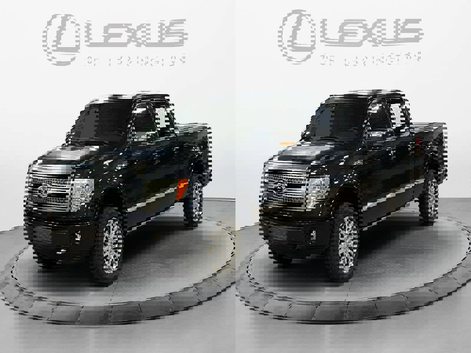 Used 2010 Ford F150 Platinum image 1