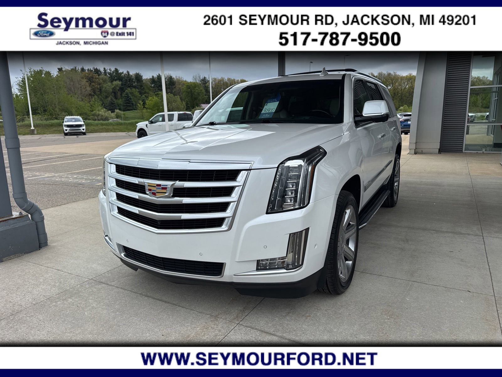 Used 2019 Cadillac Escalade Luxury AWD/4WD image 1