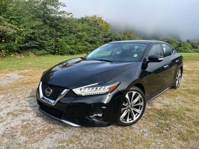 Used 2019 Nissan Maxima SL FWD image 3