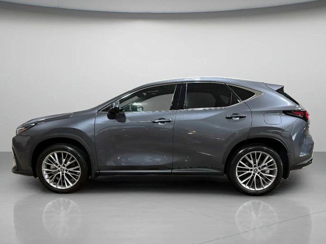Used 2024 Lexus NX 350 AWD w/ Luxury Package image 7