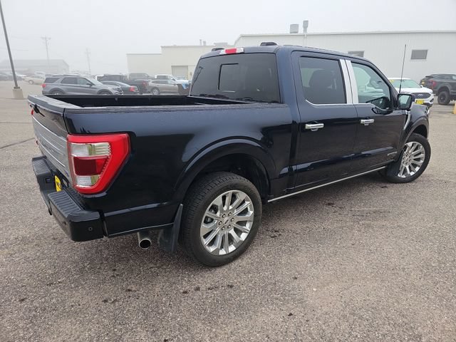 Used 2023 Ford F150 Limited AWD/4WD image 5