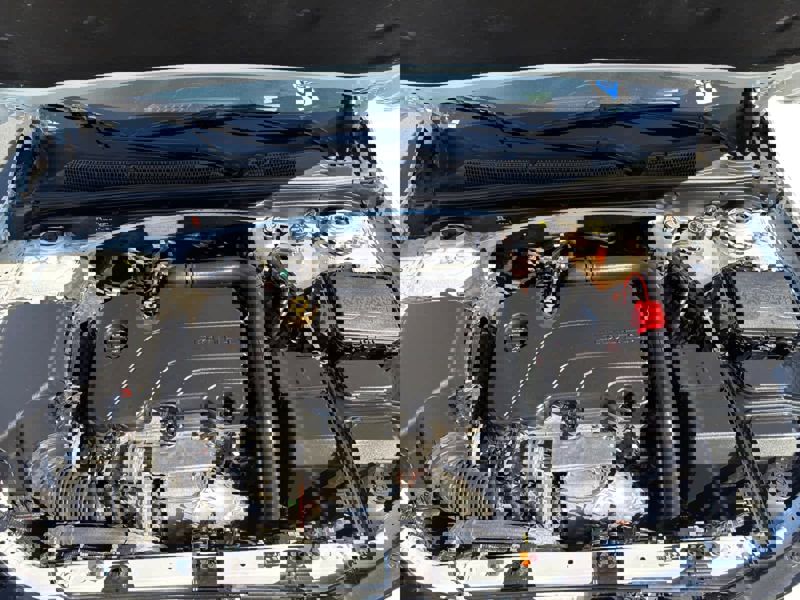 Used 2024 Chevrolet Malibu LT image 20