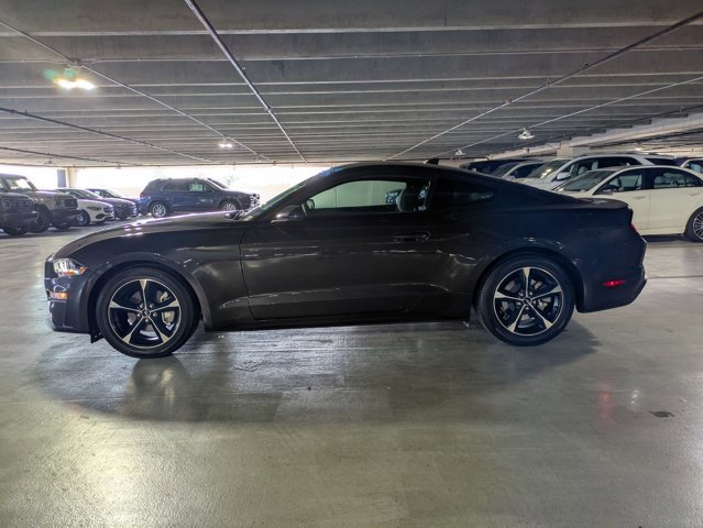 Used 2022 Ford Mustang EcoBoost image 9