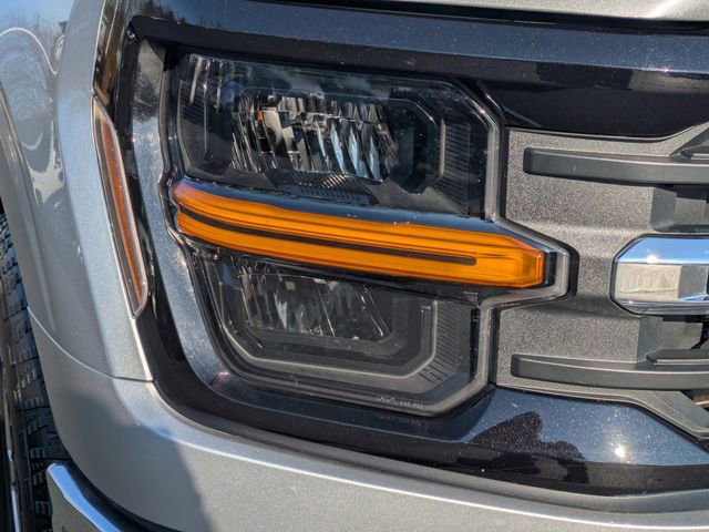 Used 2025 Ford F150 XLT w/ Equipment Group 301A Standard image 10