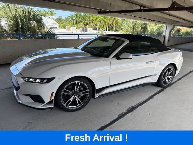 Used 2024 Ford Mustang Premium w/ Wheel & Stripe Package RWD image 1
