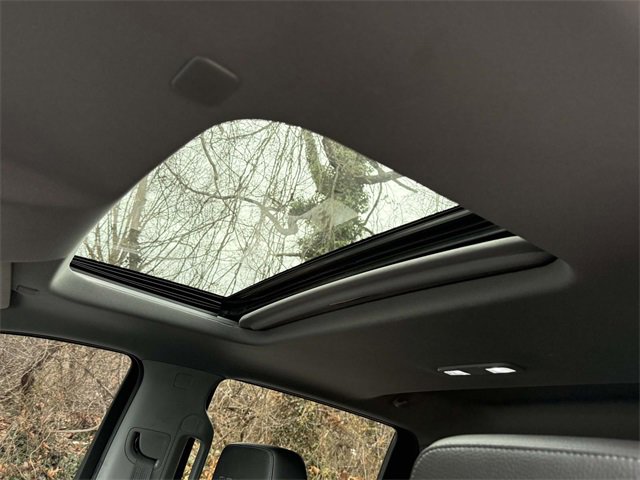 Used 2020 GMC Sierra 1500 Denali w/ LPO, GMC Protection Package image 13