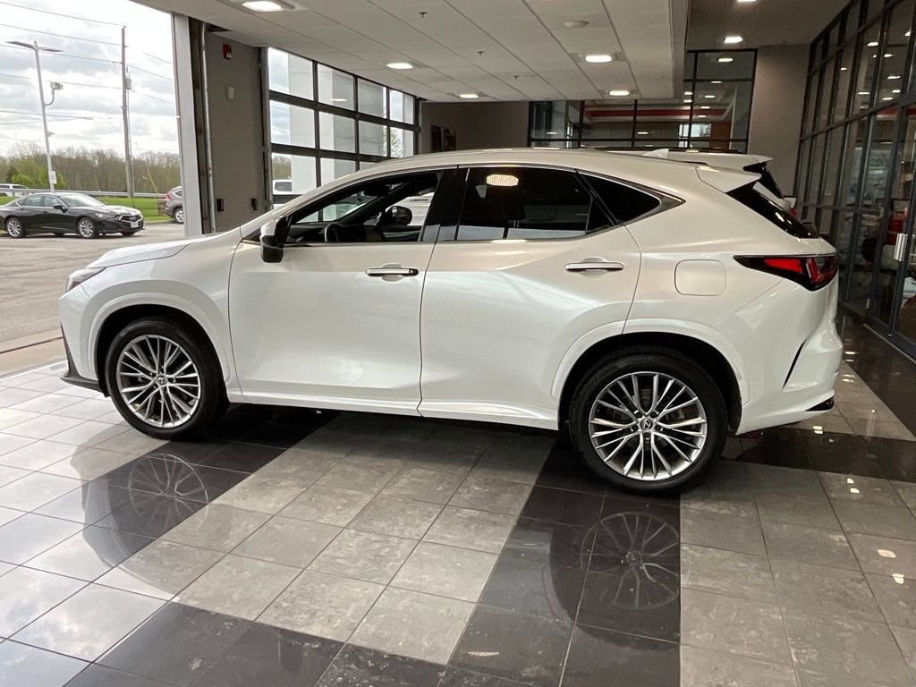 Used 2023 Lexus NX 350h AWD image 4