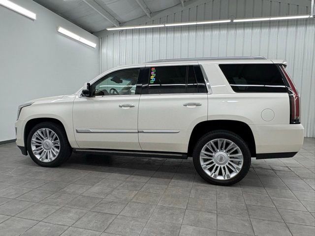 Used 2015 Cadillac Escalade Platinum image 6
