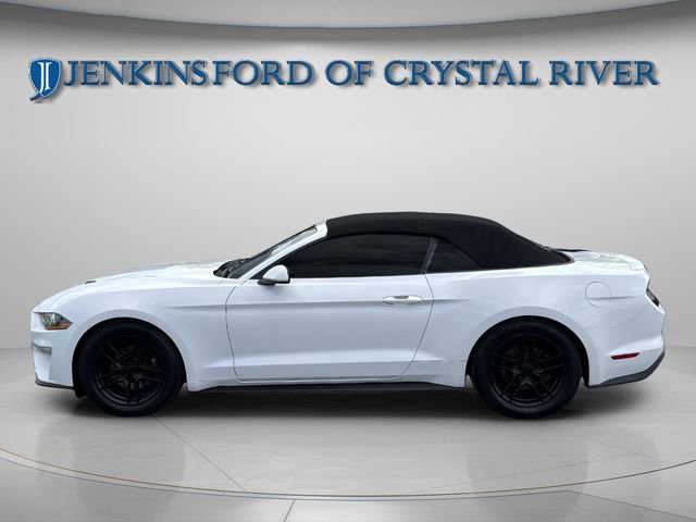 Used 2021 Ford Mustang Premium RWD image 15