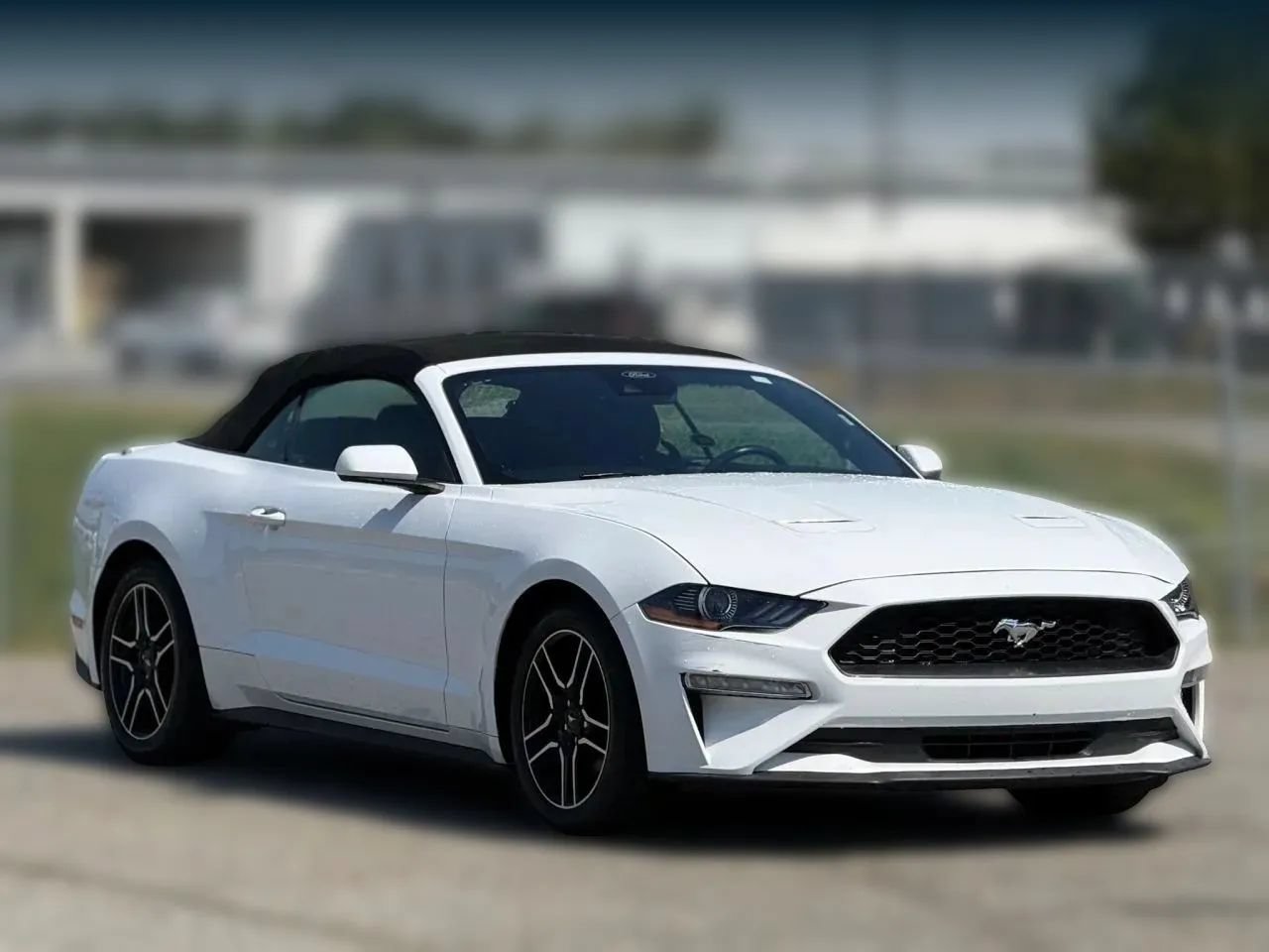 Used 2023 Ford Mustang Premium RWD image 1