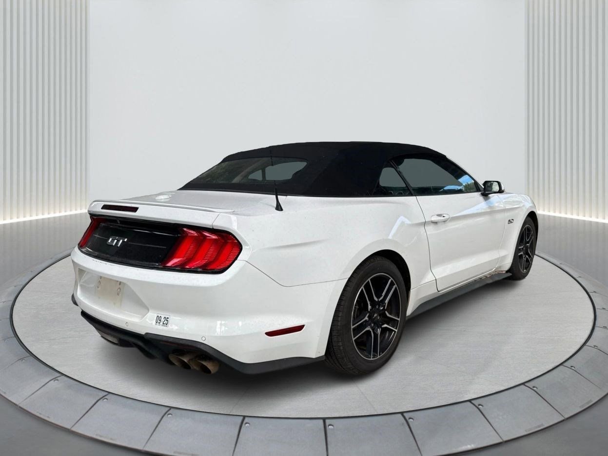 Used 2022 Ford Mustang GT Premium w/ Equipment Group 401A image 7