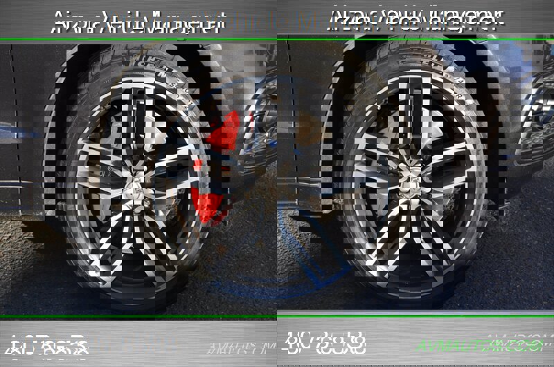 Used 2017 Audi SQ5 Premium Plus w/ Technology Package image 15