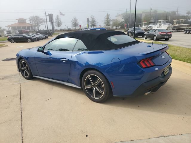 Used 2024 Ford Mustang Premium RWD image 3