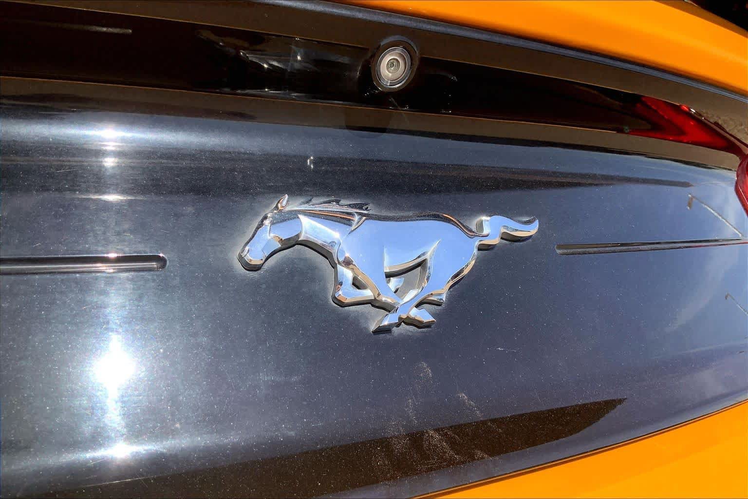 Used 2022 Ford Mustang GT w/ Equipment Group 101A RWD image 30