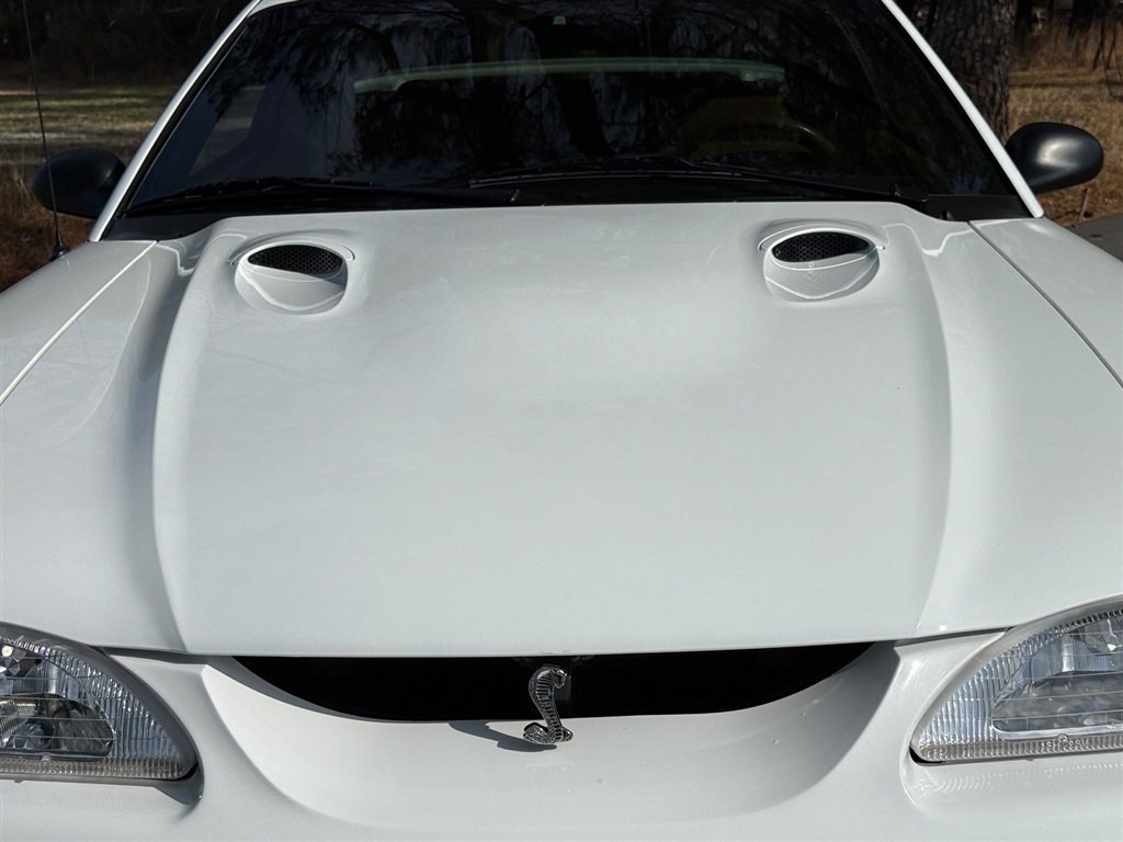 Used 1997 Ford Mustang Cobra image 15