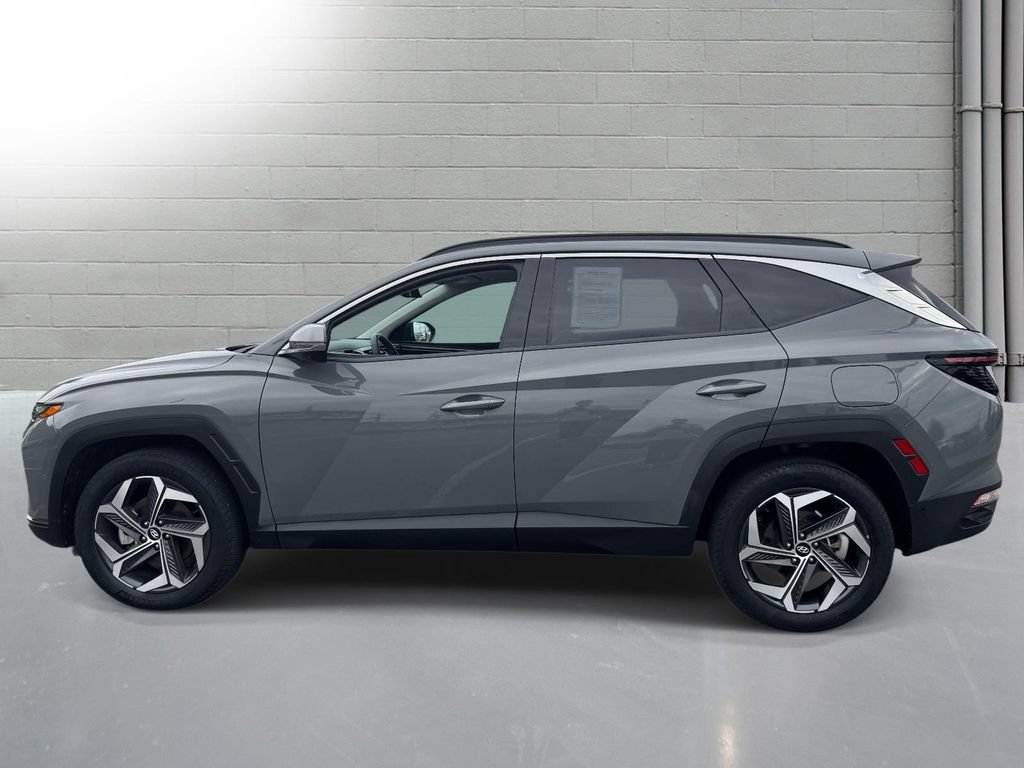 Used 2024 Hyundai Tucson Limited AWD/4WD image 5