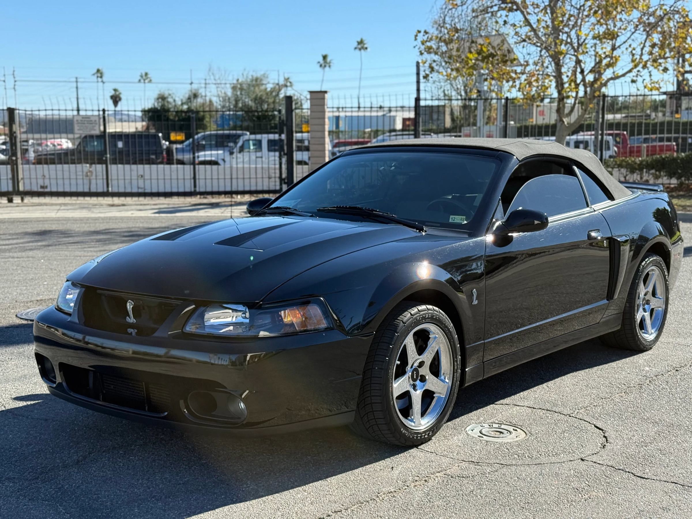Used 2004 Ford Mustang Cobra image 12