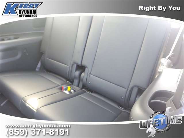 New 2026 Hyundai Ioniq 9 Calligraphy image 11