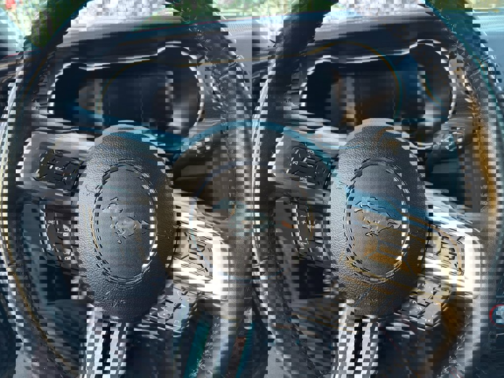 Used 2019 Ford Mustang GT Premium w/ Equipment Group 401A image 13