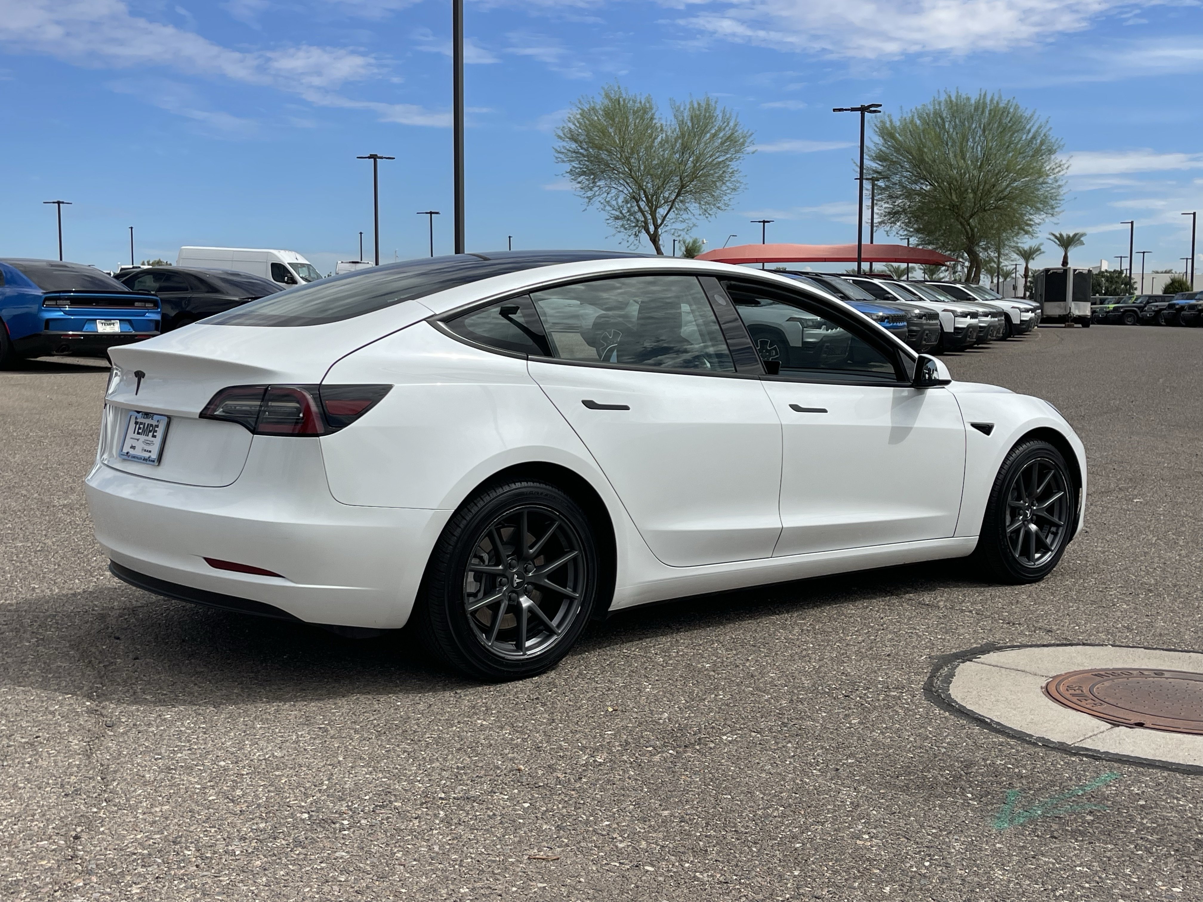 Used 2023 Tesla Model 3 Standard Range RWD image 5