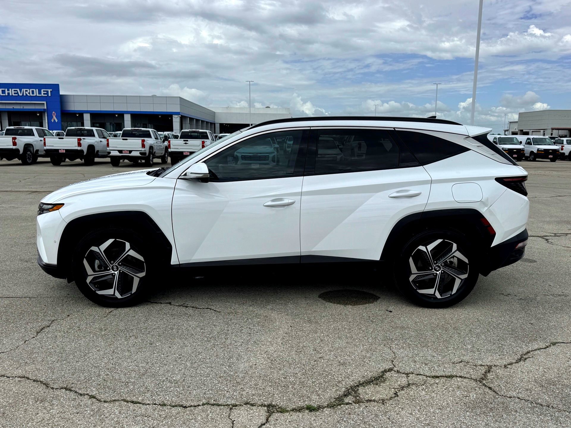 Used 2023 Hyundai Tucson Limited image 10
