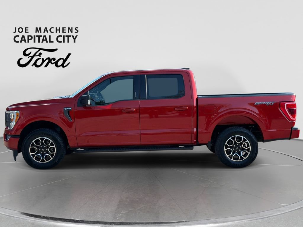 Used 2023 Ford F150 XLT w/ Equipment Group 302A High AWD/4WD image 8