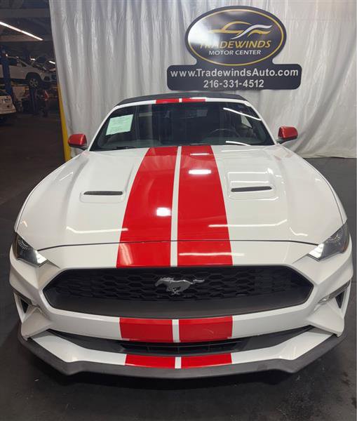 Used 2019 Ford Mustang Premium image 2