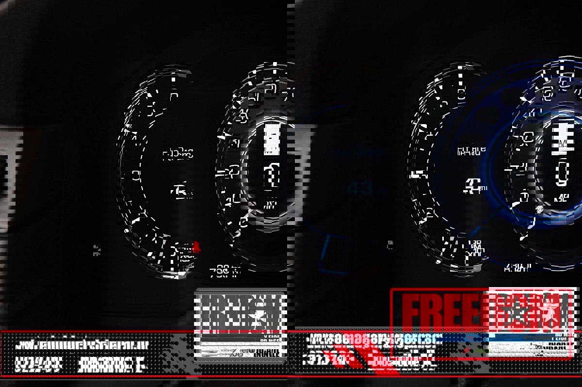 Used 2019 Cadillac Escalade Luxury AWD/4WD image 31