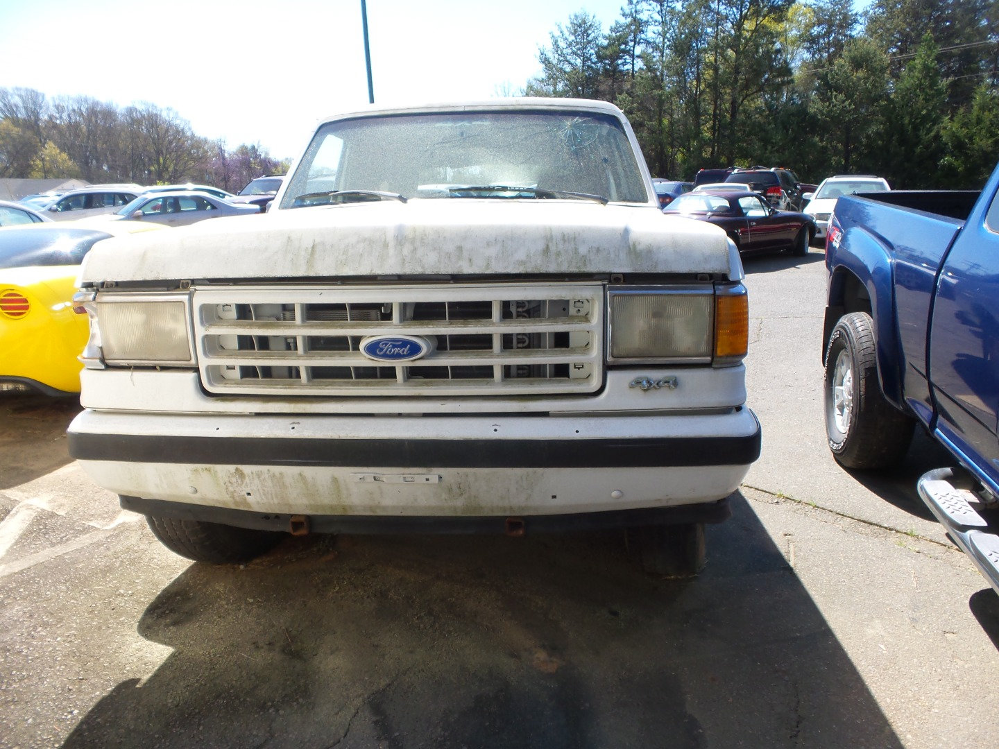 Used 1990 Ford Bronco AWD/4WD image 4