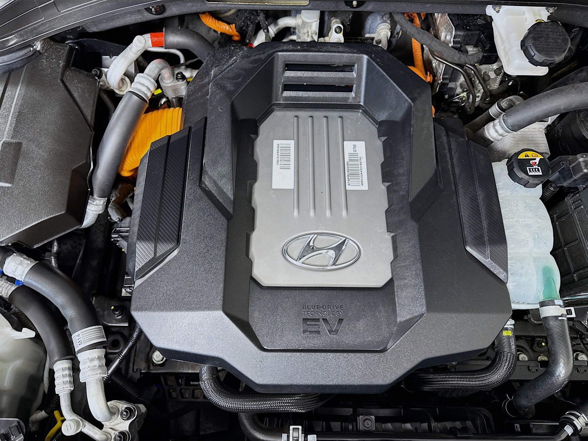 Used 2019 Hyundai Ioniq Limited image 39