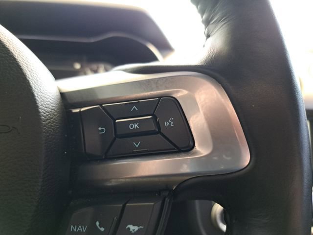 Used 2023 Ford Mustang GT Premium w/ Equipment Group 401A image 15