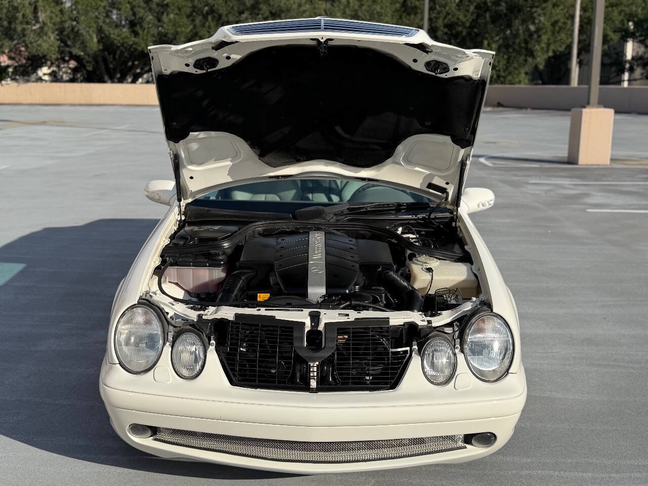 Used 2003 Mercedes-Benz CLK 430 Cabriolet image 38