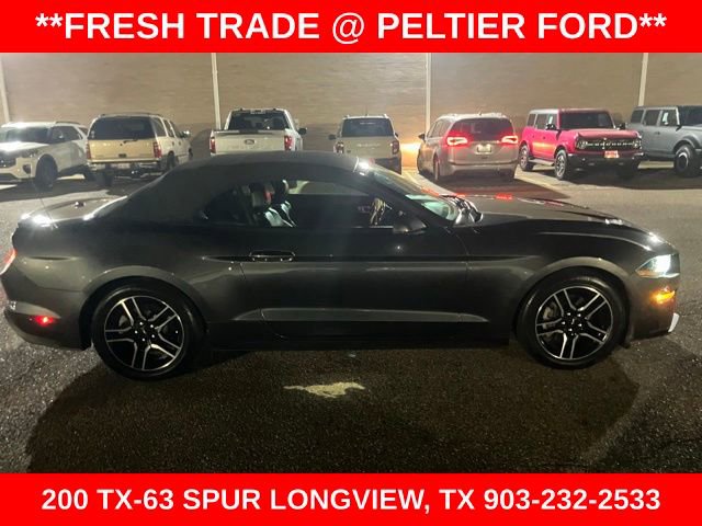 Used 2019 Ford Mustang Premium image 9