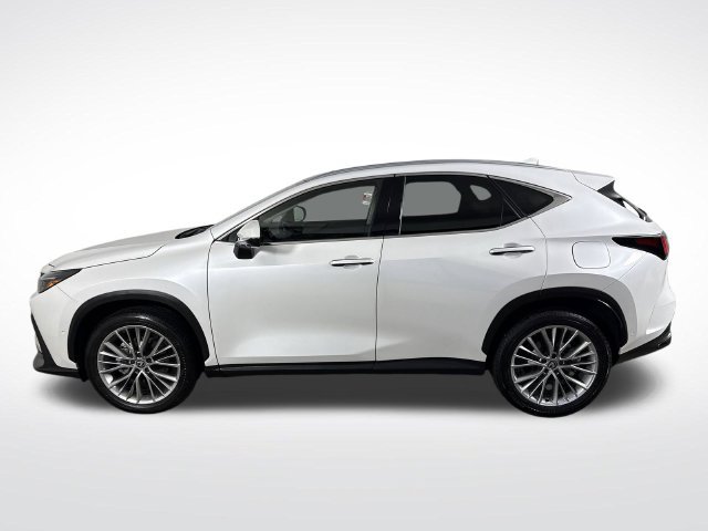 Certified 2025 Lexus NX 350 AWD w/ Rear Seat Package image 32